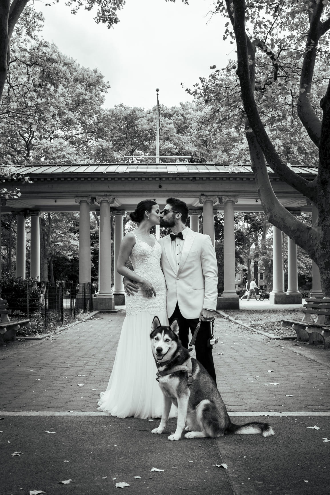Newlyweds kissing in the park with their husky sitting at their feet